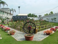 a view of the garden between the buildings